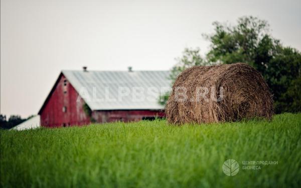 Фермерское хозяйство 497 Га в Псковской области