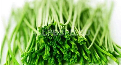 Теплица в Сертолово