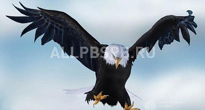 Продажа:  Инвестора-партнера, приглашаю, расширение бизнеса