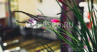 Продается  очаровательный салон красоты