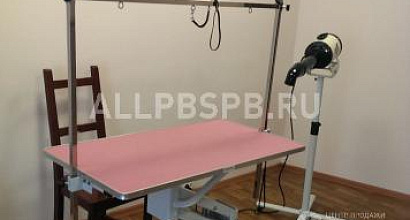 Продается  салон для животных (стрижка собак и кошек )