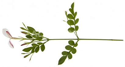 Салон известного мирового бренда