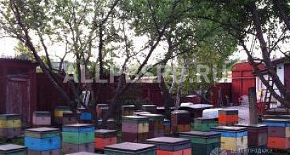Продается  продается полностью укомплектованное пасечное хозя