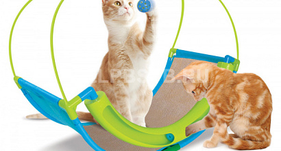 Интернет-магазин товаров для животных с ООО