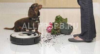 Продается  бизнec интернет-магaзин робoтoв-пылеcоcов 