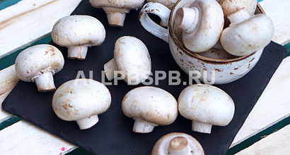 Бизнес по выращиванию шампиньонов