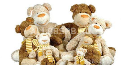 Продажа:  магазин игрушек в проходимом месте