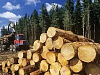Продажа: деревообрабатывающее производство