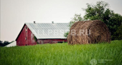 Фермерское хозяйство 497 Га в Псковской области