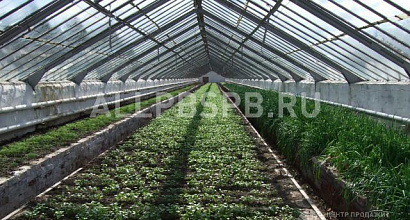 Продается  тепличное хозяйство