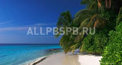 Продажа:  туристическое агентство, м. тверская