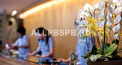 Мини-отель в центре города, расположенный на 1 этаже с отдельным входом