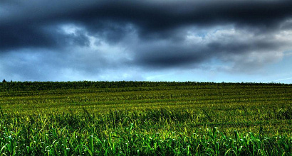 Аренда: Сдается охраняемый участок  в аренду под склад, ангар, хранение техники и проч.