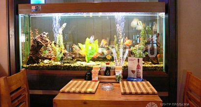 Аренда:  Кафе-бар с арендой от дигм Бибирево