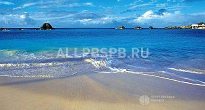 Продажа:  Продается туроператор (готовый бизнес), Москва 