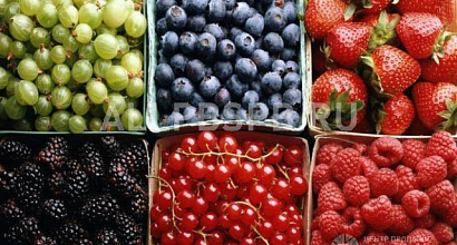 Продается  продается производство фруктовых ланчей