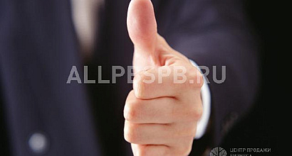 Продажа:  Продам готовый бизнес 