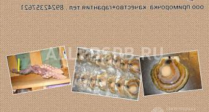 Продается  рыболовная компания