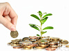 Продажа: Готовый бизнес  инвестиции