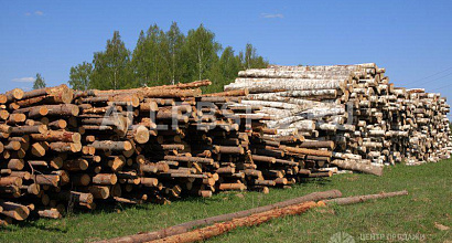 Продажа: Нижний склад, пилорама, лесозаготовка