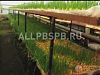 Продажа: Готовый бизнес  ищу партнера/инвестора