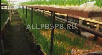 Продажа: Готовый бизнес  ищу партнера/инвестора