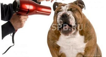 Продается  салон грумминг