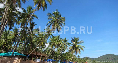 Готовый бизнес  прибыльное турагентство м. чертановская 