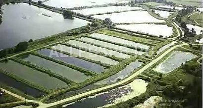 Продается  рыбхоз шостка