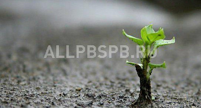 Продажа:  Готовый бизнес за 2-4 месяца под ключ старт-ап