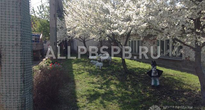 Продажа:  Швейный бизнес 