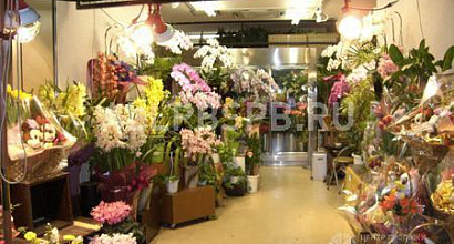 Готовый бизнес  цветочный салон рядом с метро 