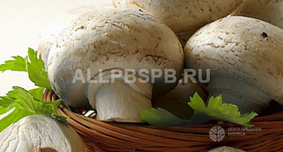 Высокоприбыльное производство по выращиванию шампиньонов