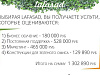 Продается  франшиза вертикальное озеленение lafasad. псков 