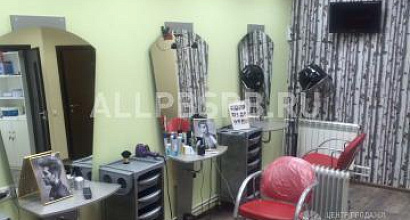 Продажа:  Салон красоты(бизнес центр)