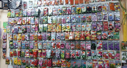 Продажа:  продаю магазин &quot;семена и товары для дачи&quot;