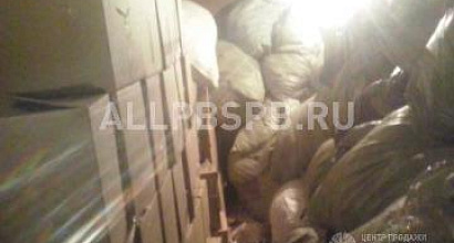 Продажа:  товарные остатки (одежда, обувь)