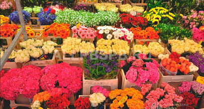 Цветочный бутик в Петроградском районе!