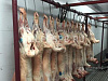Готовый бизнес  оптовый мясной склад можно под розницу 