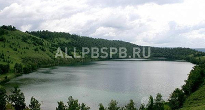 Продажа:  стабильная 5-летняя компания с оборотом 3 млн/ мес