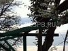 Продается  помещение свободного назначения, 80 м