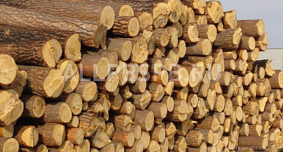 Продается  продам предприятие в алтайском крае