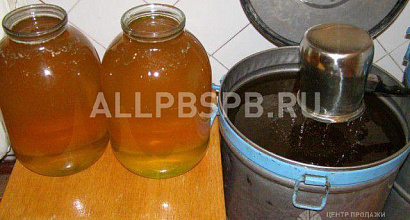 Продажа:  ищу партнера в сельском хозяйстве