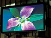 Продажа: Готовый бизнес led rgb экран р7.62 внутренний