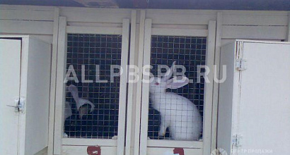 Готовый бизнес  крестьянско-фермерское хозяйство