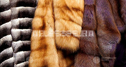 Производство меховых изделий