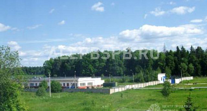 Готовый бизнес  рыбоперерабатывающий завод