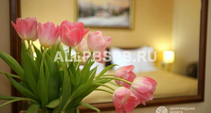 Апарт-отель в Центральном районе Петербурга