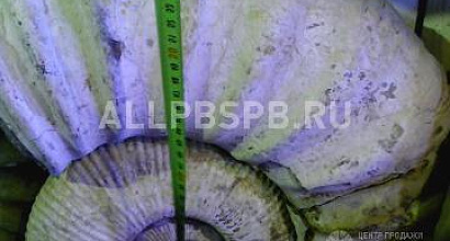 Продается  продаю готовую строительно отделочную фирму 