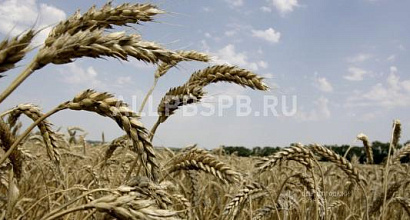 Готовый бизнес  продам сельскохозяйственный комплекс в башкирии 